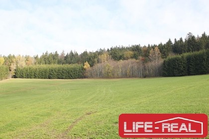 Grundstücke in 4170 Sankt Oswald bei Haslach