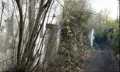 Land- / Forstwirtschaft in 2020 Hollabrunn