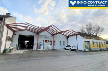 Hallen / Lager / Produktion in 2245 Velm