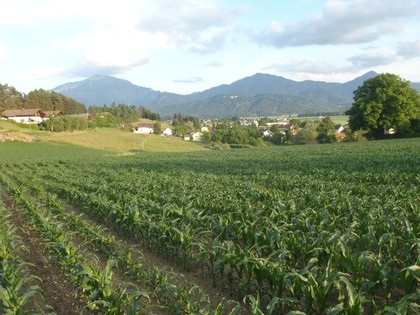Grundstücke in 9141 Eberndorf