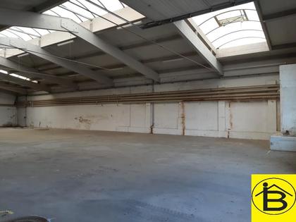 Hallen / Lager / Produktion in 3550 Langenlois