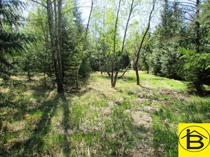 Land- / Forstwirtschaft in 3121 Karlstetten