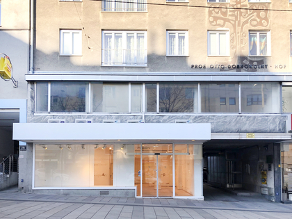 Einzelhandel / Geschäfte in 1120 Wien