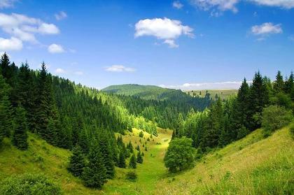 Land- / Forstwirtschaft in Slowakei