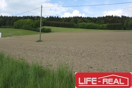 Grundstücke in 4170 Sankt Oswald bei Haslach