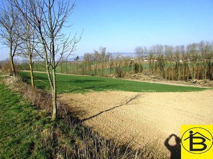 Land- / Forstwirtschaft in 3110 Neidling