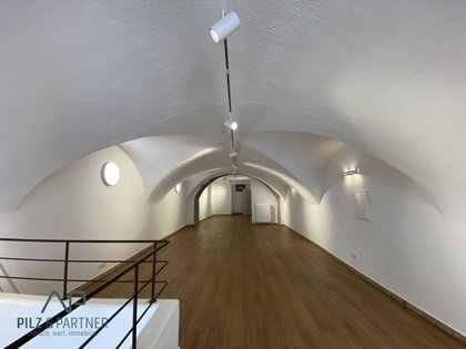 Büros /Praxen in 5400 Hallein