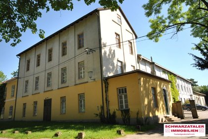 Büros /Praxen in 2630 Pottschach