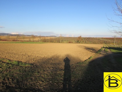 Land- / Forstwirtschaft in 3110 Neidling