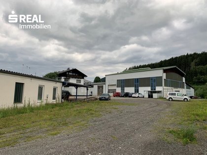 Hallen / Lager / Produktion in 8793 Trofaiach