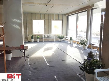 Büros /Praxen in 2452 Mannersdorf am Leithagebirge