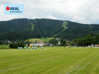 Grundstücke in 8630 Mariazell