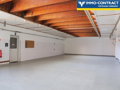 Hallen / Lager / Produktion in 2514 Traiskirchen