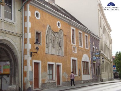 Gastgewerbe in 2410 Hainburg an der Donau