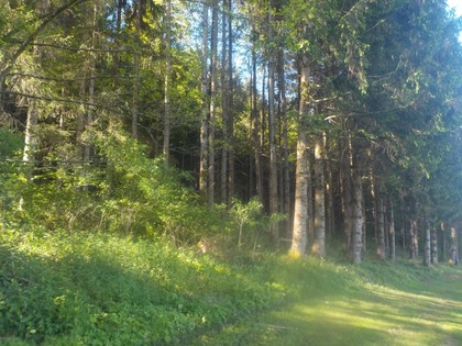 Grundstücke in 9421 Eitweg