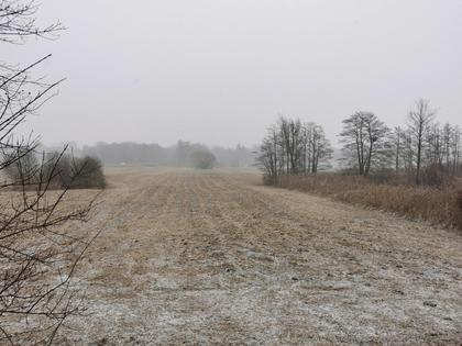 Grundstücke in 8401 Kalsdorf bei Graz