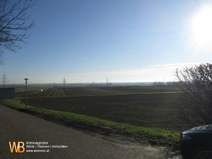 Grundstücke in 2202 Königsbrunn im Weinviertel