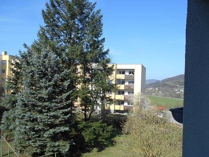 Wohnungen in 3160 Steinwandleiten