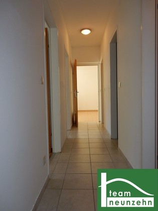 Wohnungen in 3160 Traisen