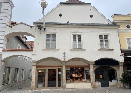 Anlageobjekte in 3500 Krems an der Donau