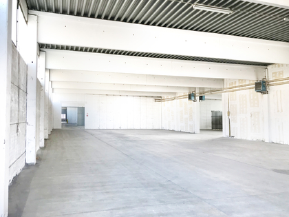 Hallen / Lager / Produktion in 2345 Brunn am Gebirge