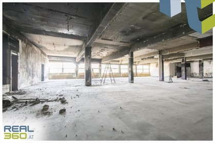 Hallen / Lager / Produktion in 4020 Friesenegg