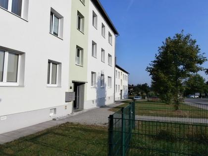 Wohnungen in 4784 Schardenberg