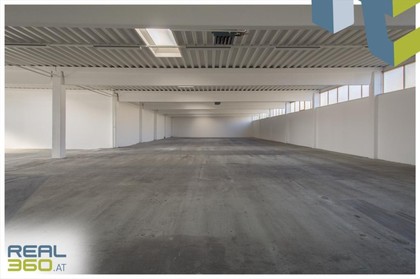 Hallen / Lager / Produktion in 4061 Pasching