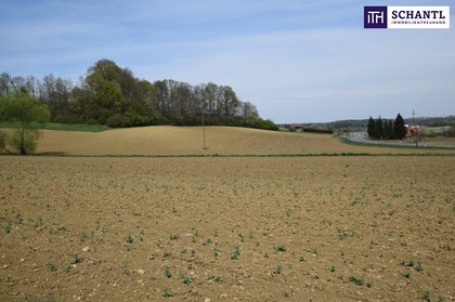 Grundstücke in 8521 Wettmannstätten