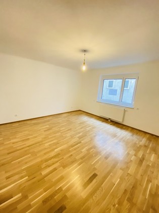 Wohnungen in 1020 Wien