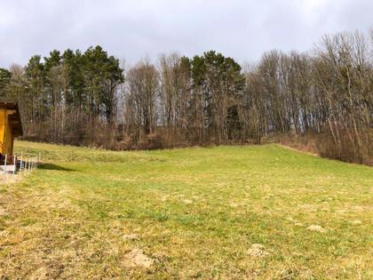 Grundstücke in 2860 Kirchschlag in der Buckligen Welt