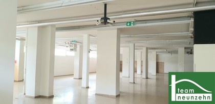 Büros /Praxen in 2401 Fischamend-Markt