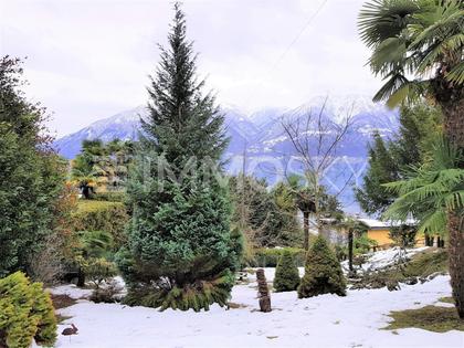 Grundstücke in Schweiz