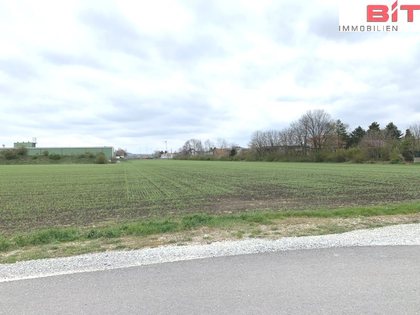 Grundstücke in 2460 Bruck an der Leitha