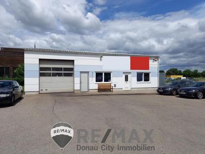 Hallen / Lager / Produktion in 3433 Königstetten