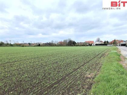 Grundstücke in 2460 Bruck an der Leitha