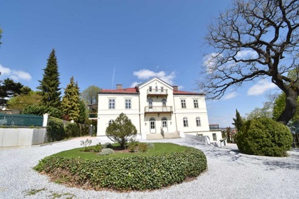 Büros /Praxen in 2540 Bad Vöslau