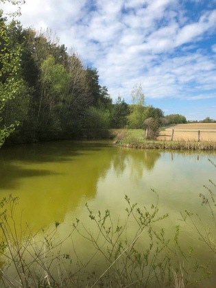 Land- / Forstwirtschaft in 8271 Bad Waltersdorf