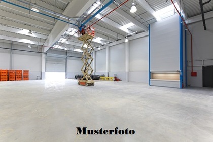 Hallen / Lager / Produktion in 2700 Wiener Neustadt