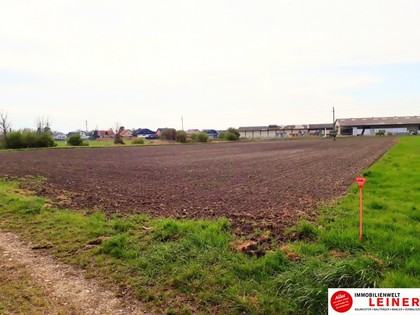 Grundstücke in 2431 Enzersdorf an der Fischa