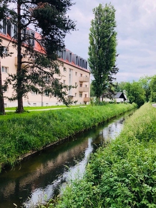 Wohnungen in 5020 Salzburg