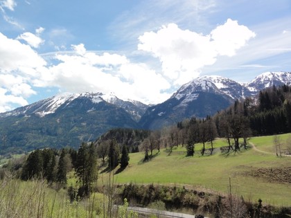 Grundstücke in 5622 Goldegg