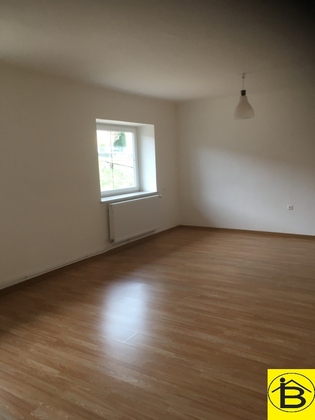 Wohnungen in 3860 Heidenreichstein