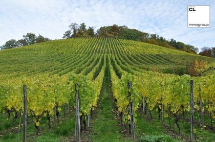 Sonstige in 3500 Krems an der Donau