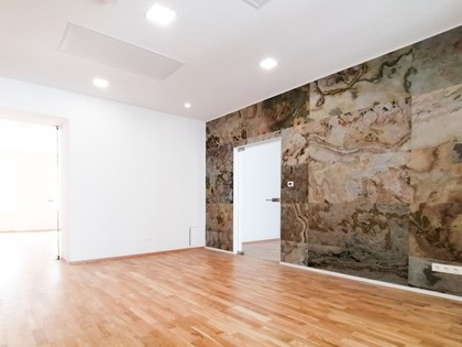 Büros /Praxen in 1010 Wien