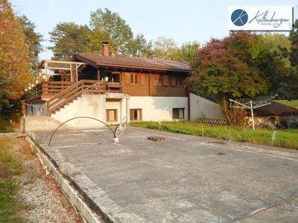 Hallen / Lager / Produktion in 2434 Götzendorf an der Leitha
