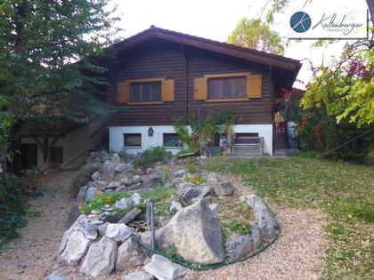 Gastgewerbe in 2434 Götzendorf an der Leitha