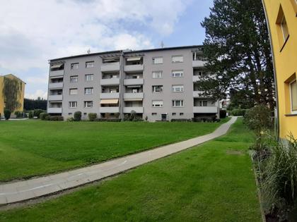 Wohnungen in 8570 Voitsberg