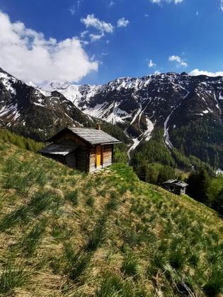 Land- / Forstwirtschaft in 9981 Kals am Großglockner