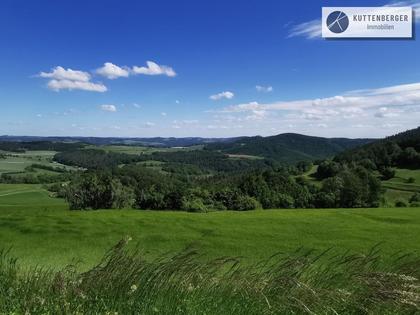 Land- / Forstwirtschaft in 3541 Senftenbergeramt